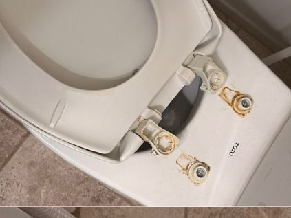 Before: a toilet seat lifted to show rust and mineral build-up on the seat fixings.